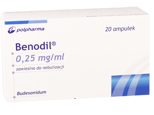 Цены на Бенодил сусп. для распыл. 0,25 мг/1 мл конт. 2 мл №20